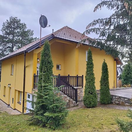 Apartmani Jokic Zlatibor Kültér fotó
