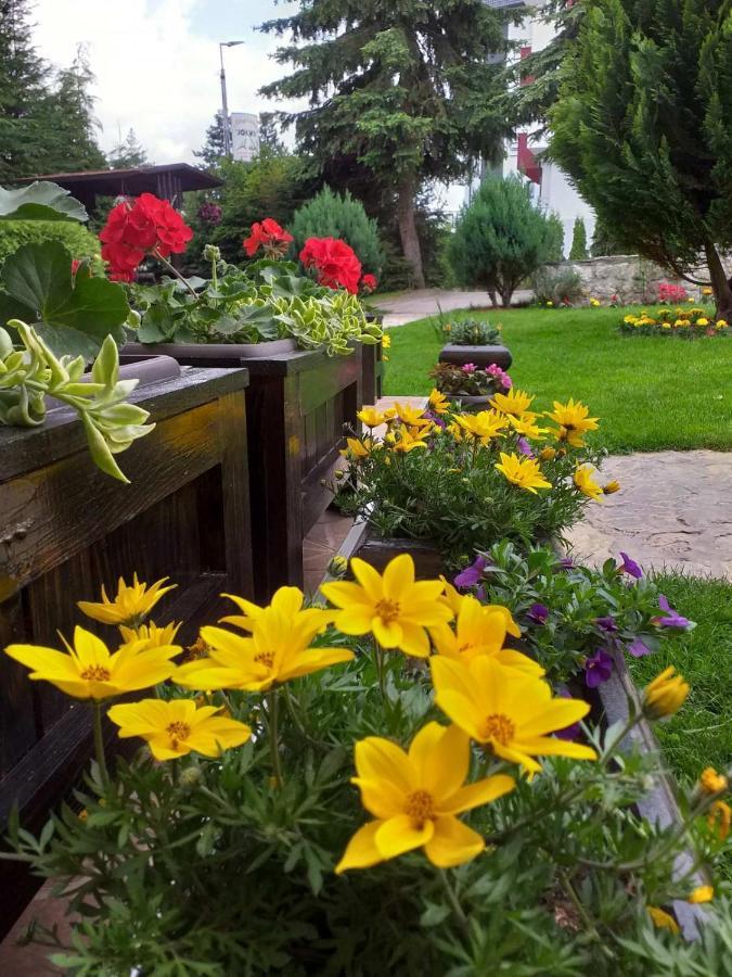 Apartmani Jokic Zlatibor Kültér fotó